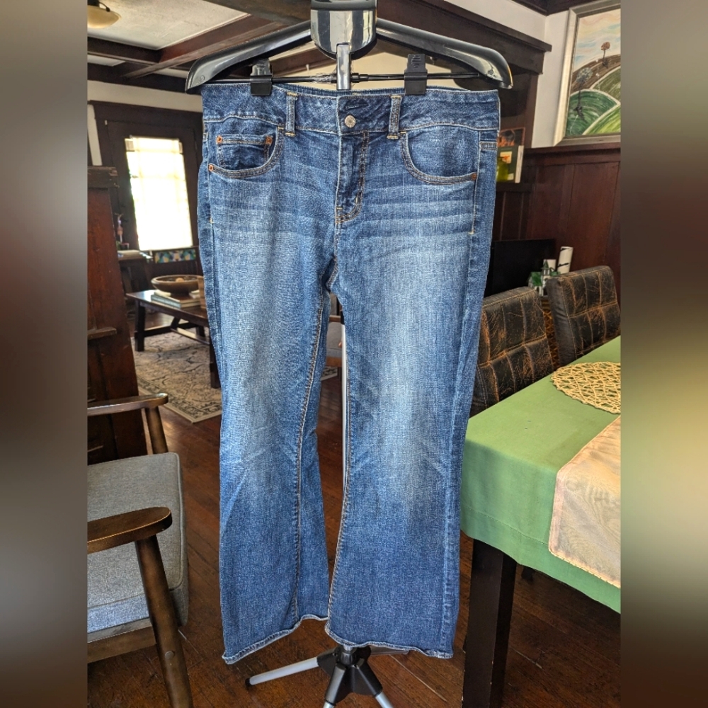 AE Artist Jeans size 12